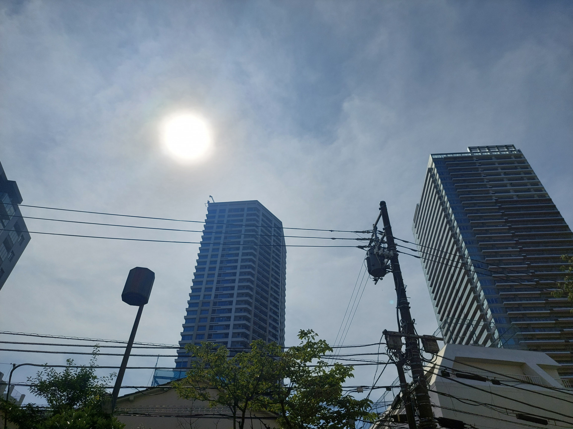 20240720_091256 1